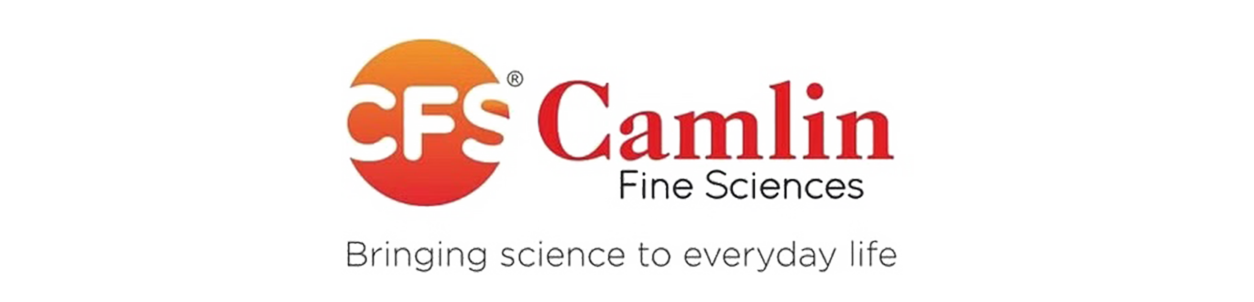 Camlin logo